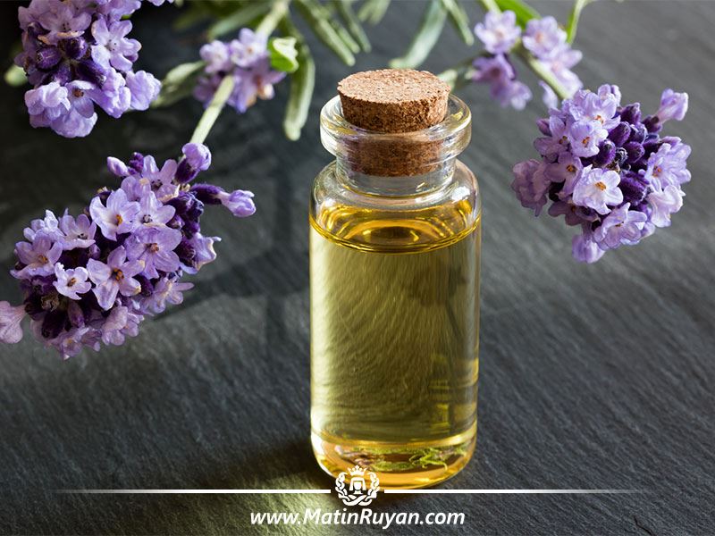 فواید روغن اسطوخودوس یا لاوندر برای پوست و مو و بدن