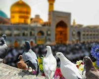 مناطق الجذب السياحي في مشهد